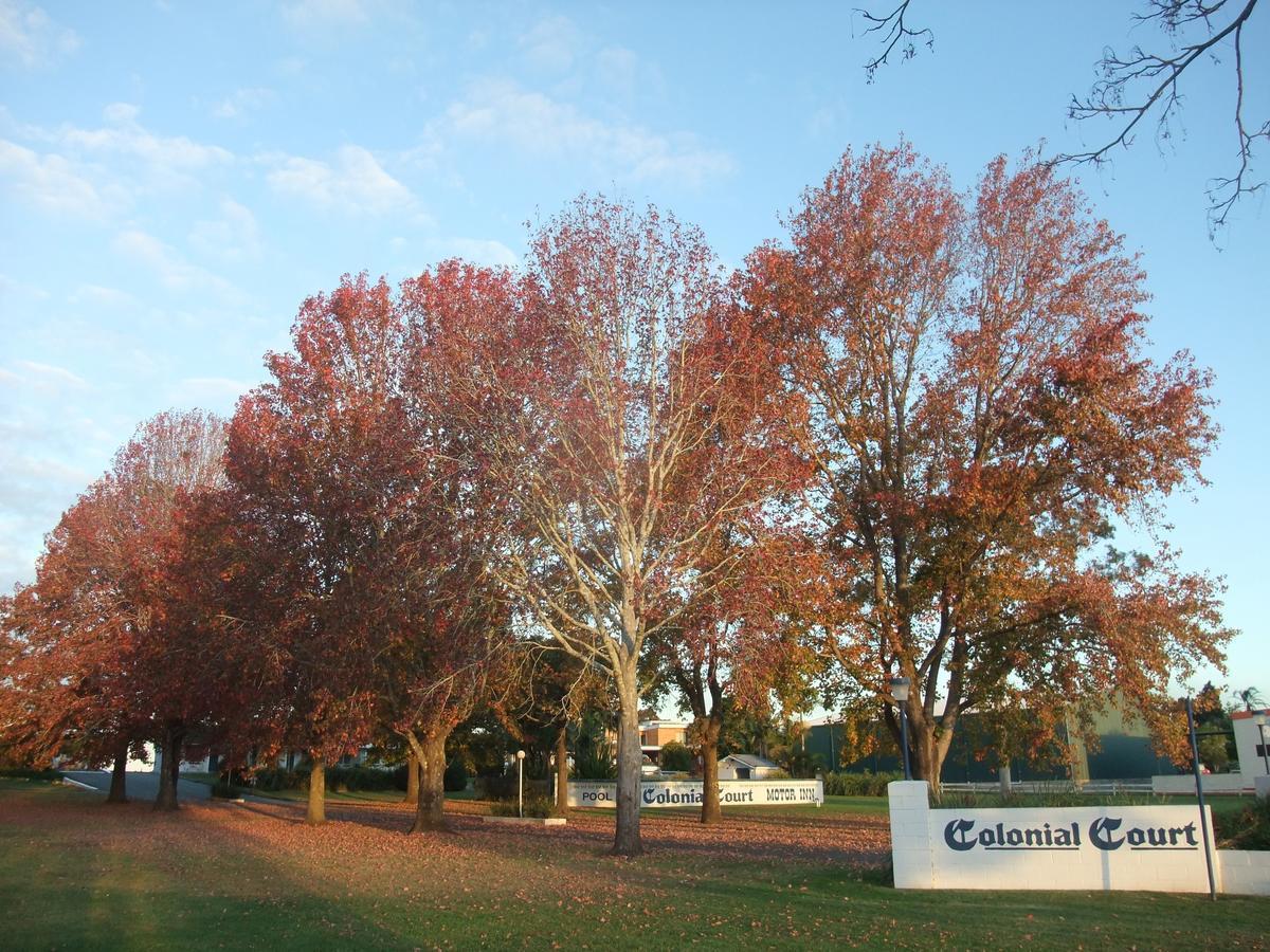 Colonial Court Motor Inn Kempsey Exterior photo